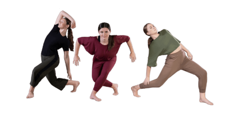 Michele Ferraro’s Dance USA, dance studio in Coram, NY