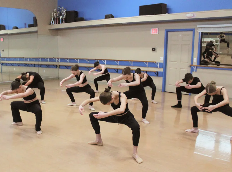 The Dance Company Conservatory, dance studio in Port Huron, MI