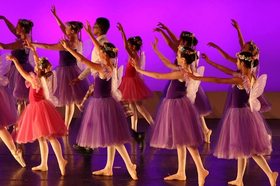 Willow Park Dance Academy, dance studio in Bethlehem, PA
