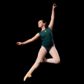 Crooked Tree Arts Center School of Ballet, dance studio in Petoskey, MI