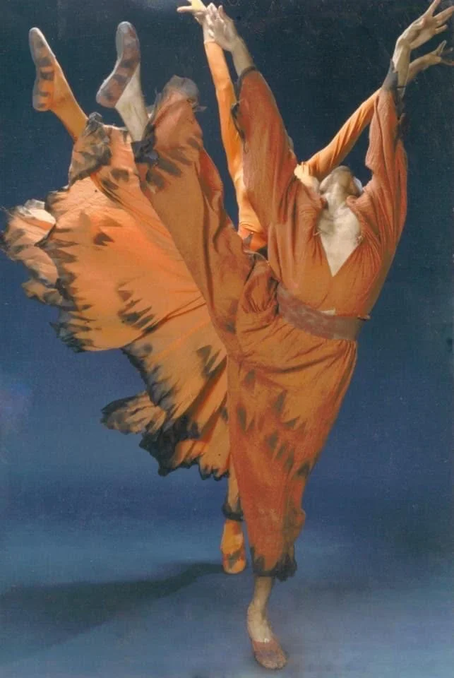 Detroit-Windsor Dance Academy, dance studio in Detroit, MI