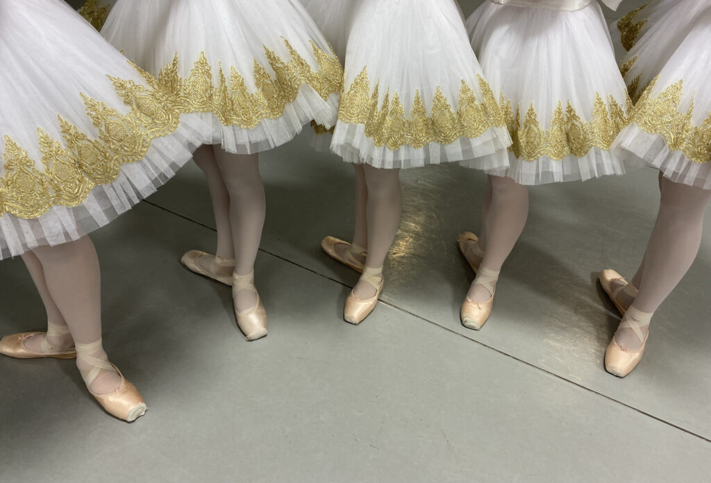 Planko Classical Ballet Academy, dance studio in Bloomfield Hills, MI
