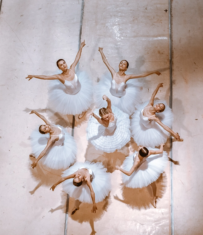 Rochester School of Dance, dance studio in Rochester Hills, MI